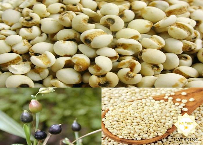 Cơm ý dĩ cực kì tốt cho sức khỏe người mỡ trong máu